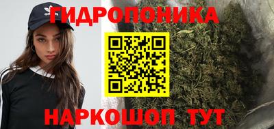 спайс Кинель